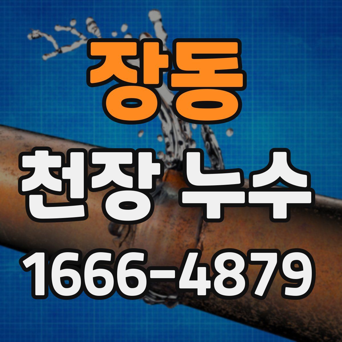 장동 천장 누수