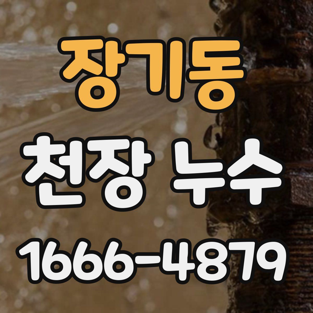 장기동 천장 누수
