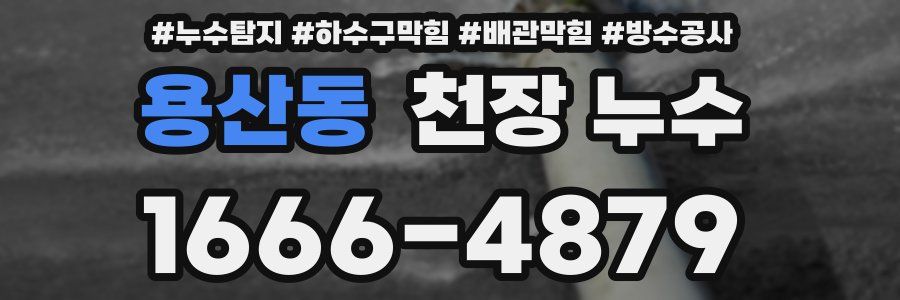용산동 천장 누수