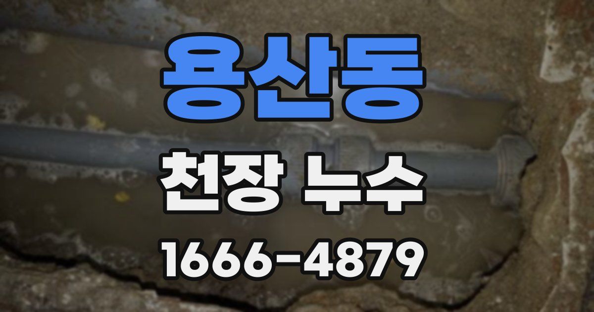 용산동 천장 누수