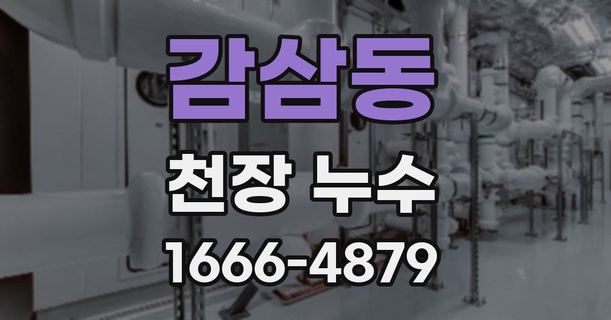 감삼동 천장 누수