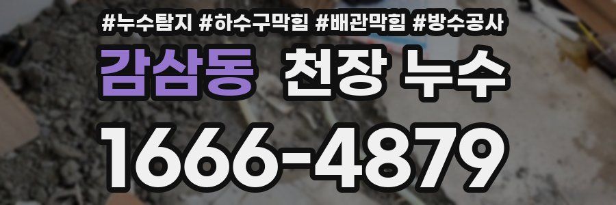 감삼동 천장 누수
