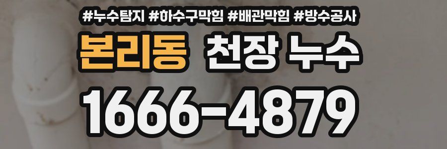 본리동 천장 누수