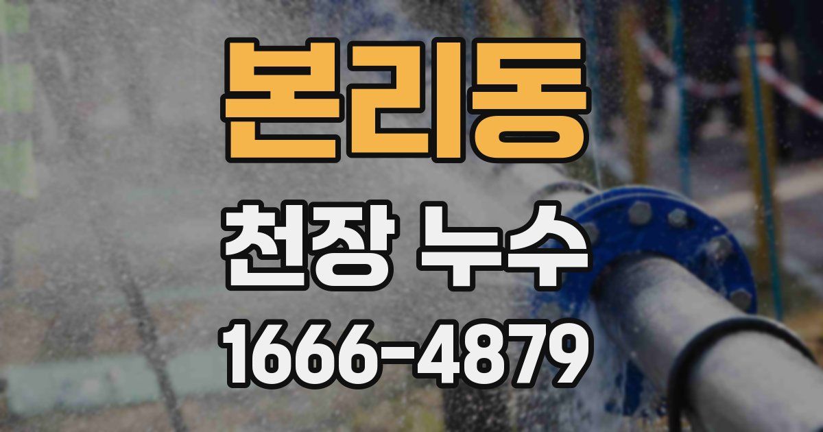 본리동 천장 누수