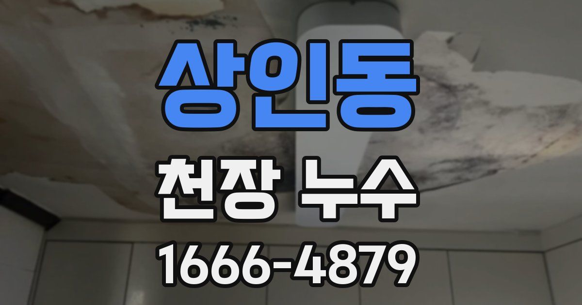 상인동 천장 누수