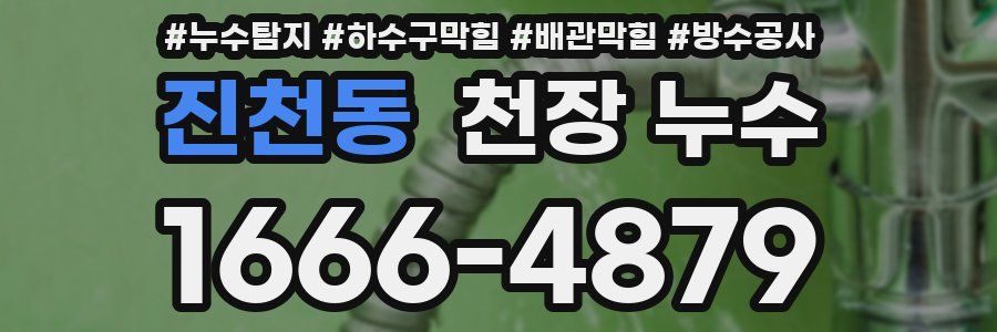 진천동 천장 누수