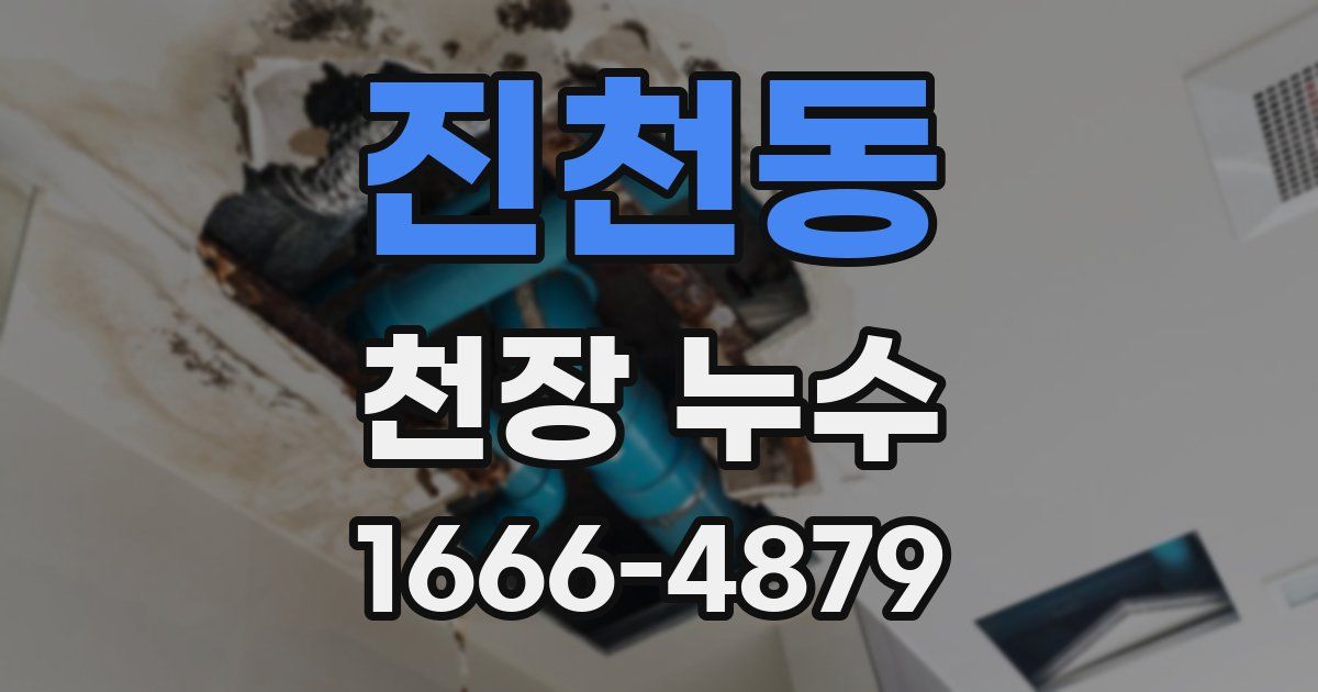 진천동 천장 누수