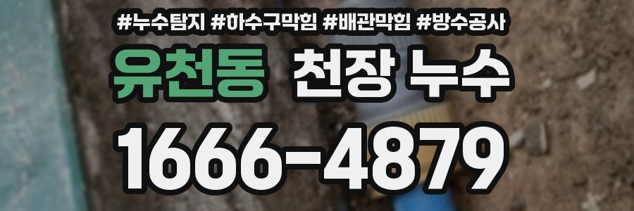 유천동 천장 누수
