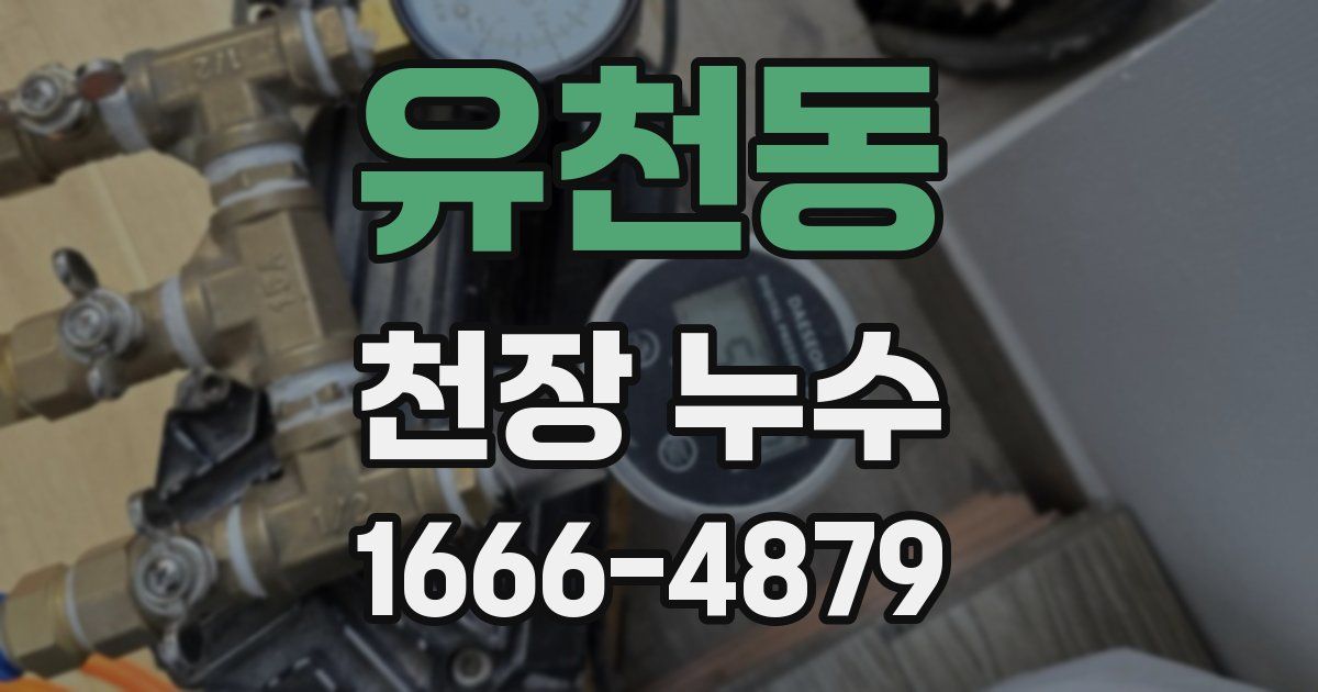 유천동 천장 누수