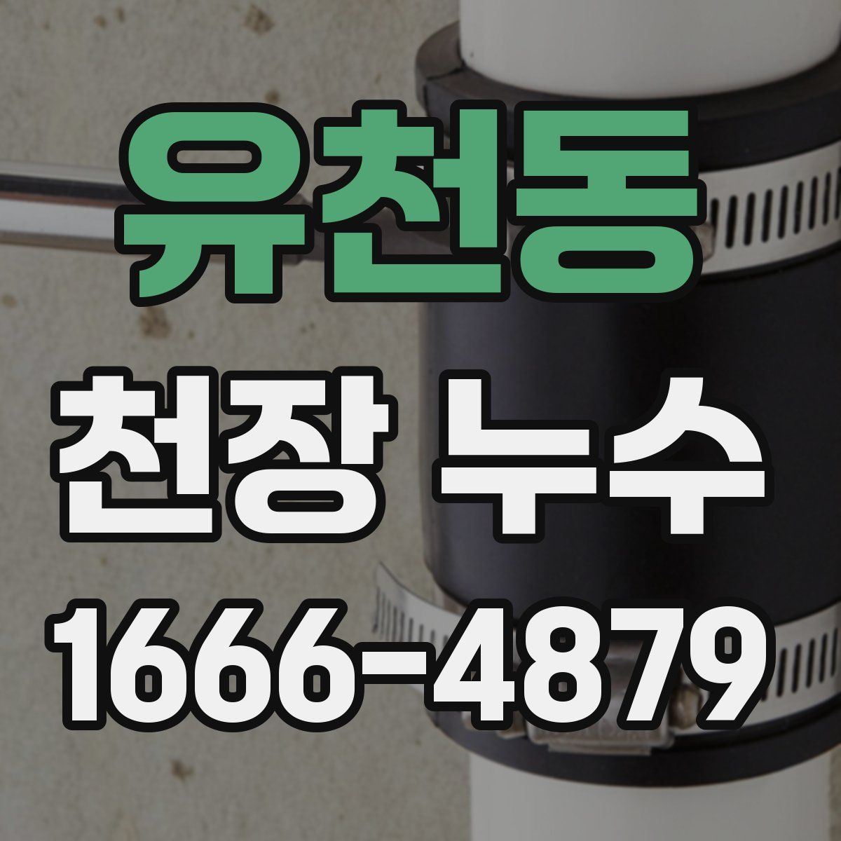 유천동 천장 누수