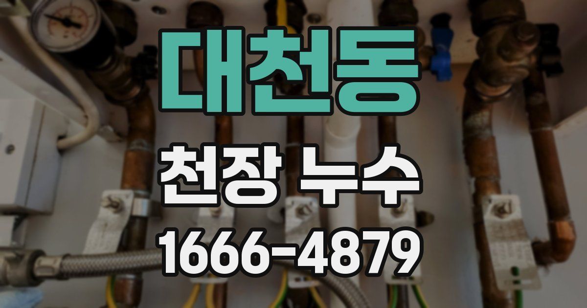 대천동 천장 누수