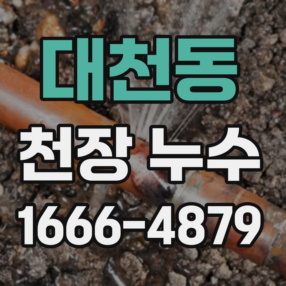 대천동 천장 누수