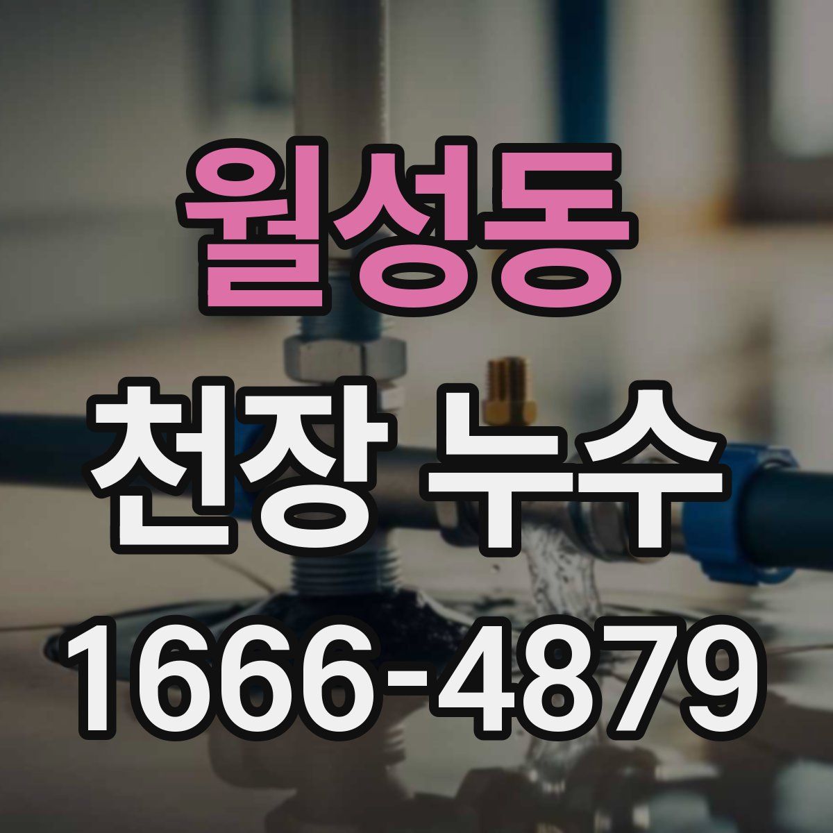월성동 천장 누수