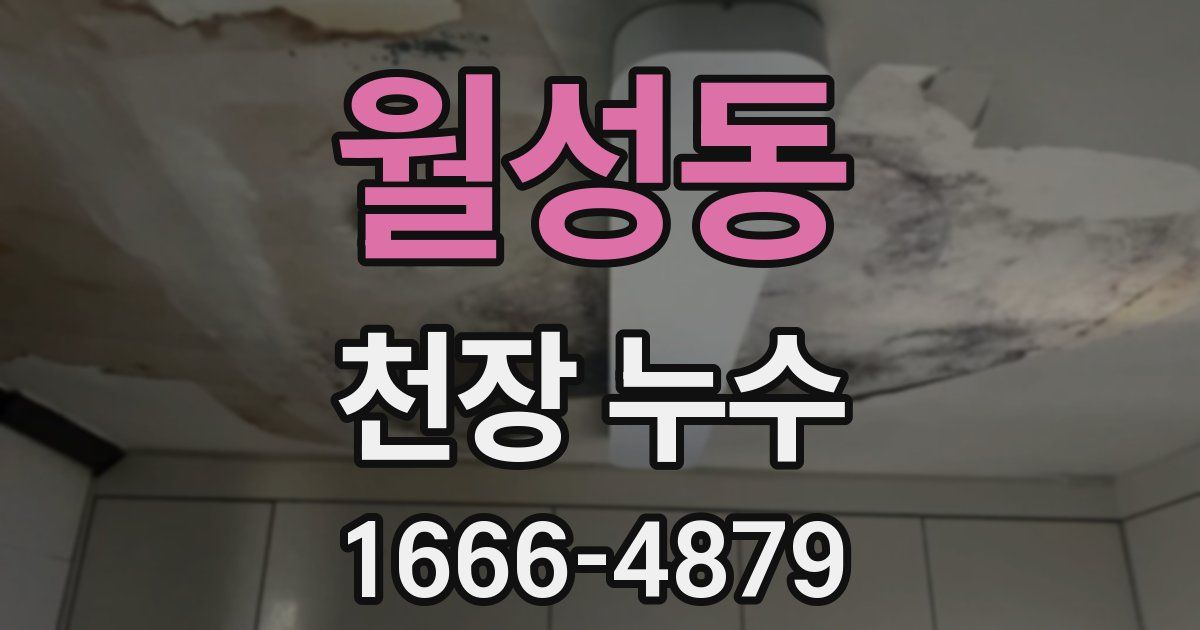 월성동 천장 누수