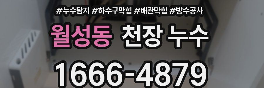 월성동 천장 누수