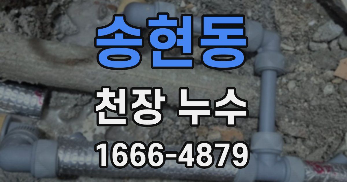 송현동 천장 누수