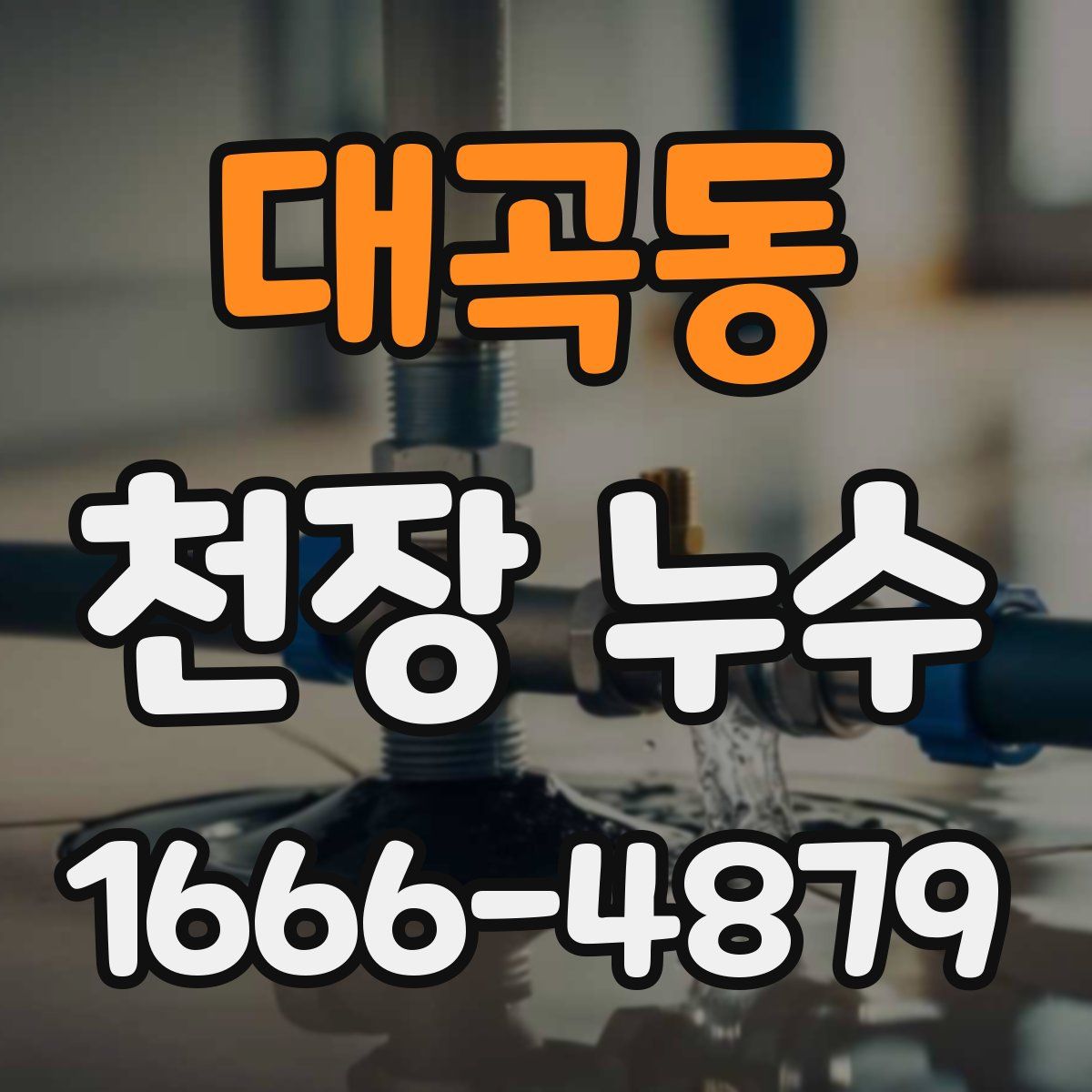 대곡동 천장 누수
