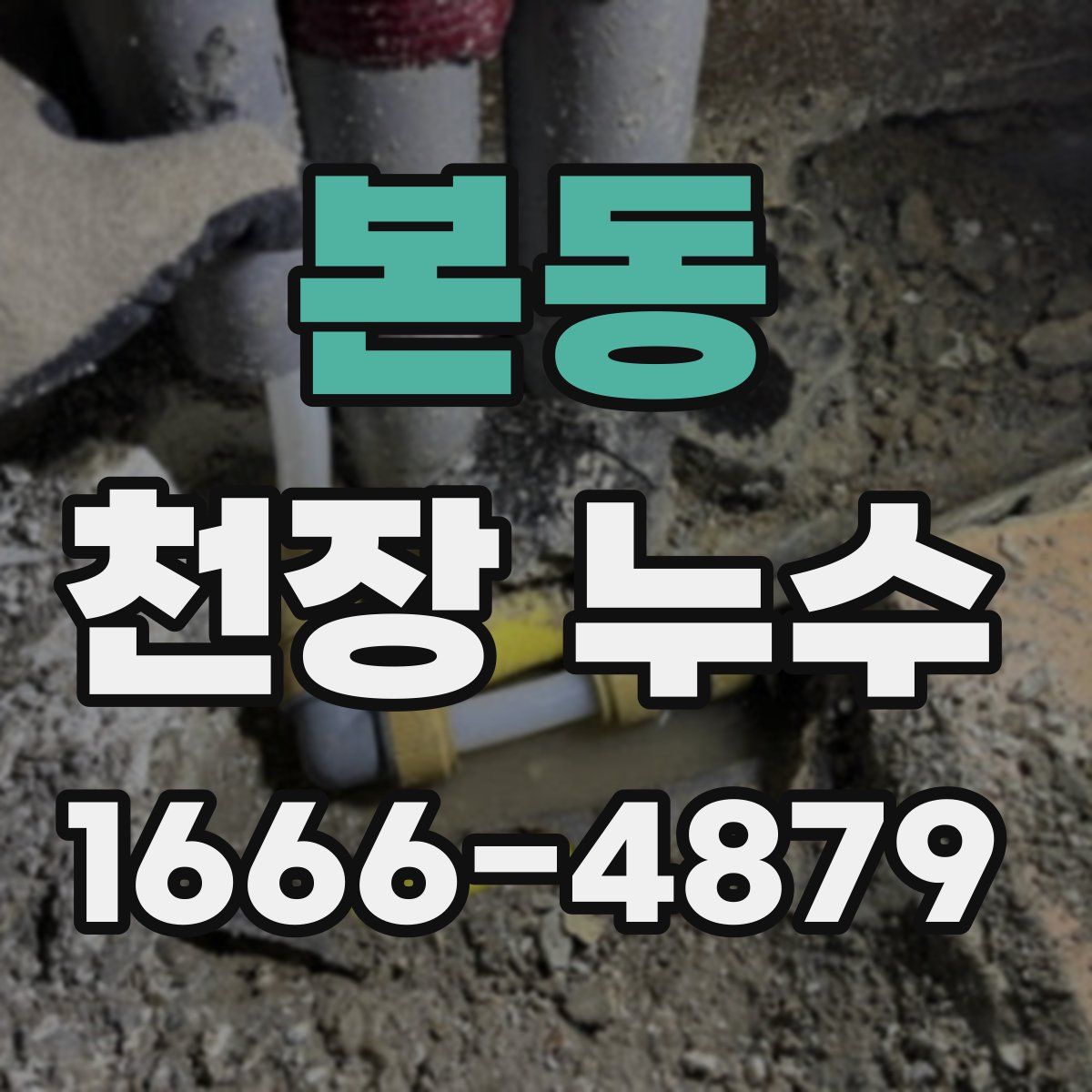 본동 천장 누수