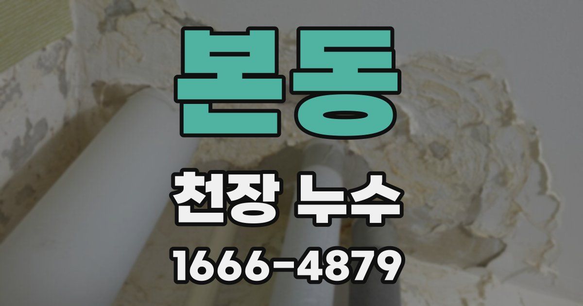 본동 천장 누수