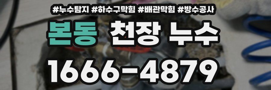 본동 천장 누수