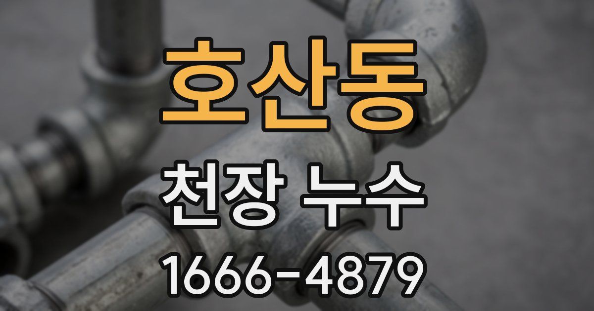 호산동 천장 누수