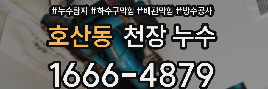 호산동 천장 누수
