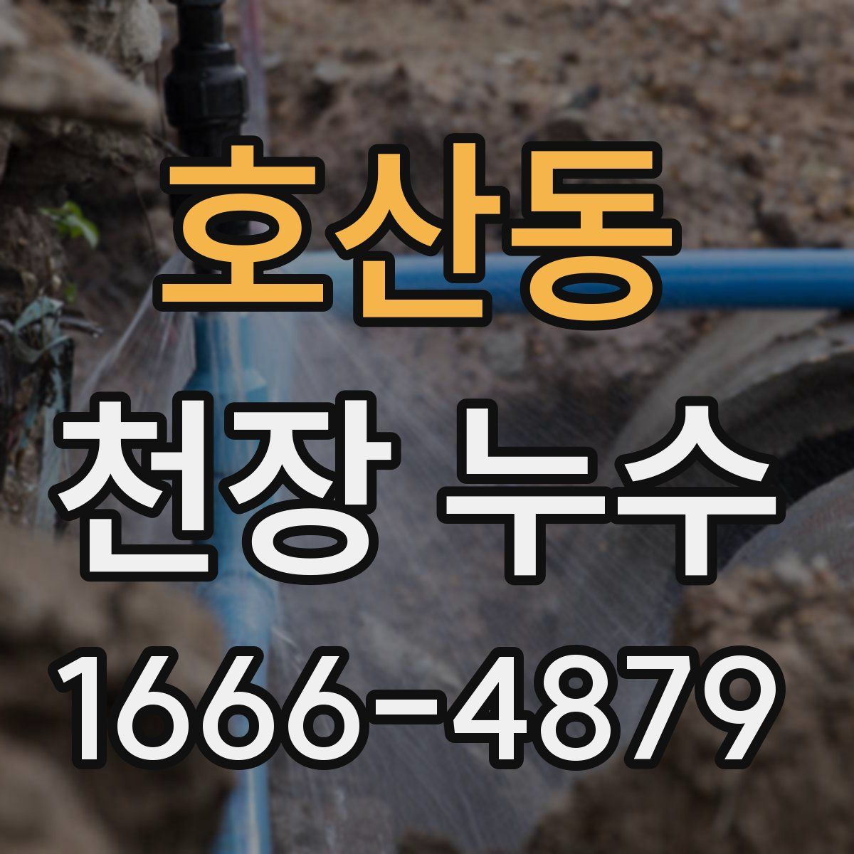 호산동 천장 누수