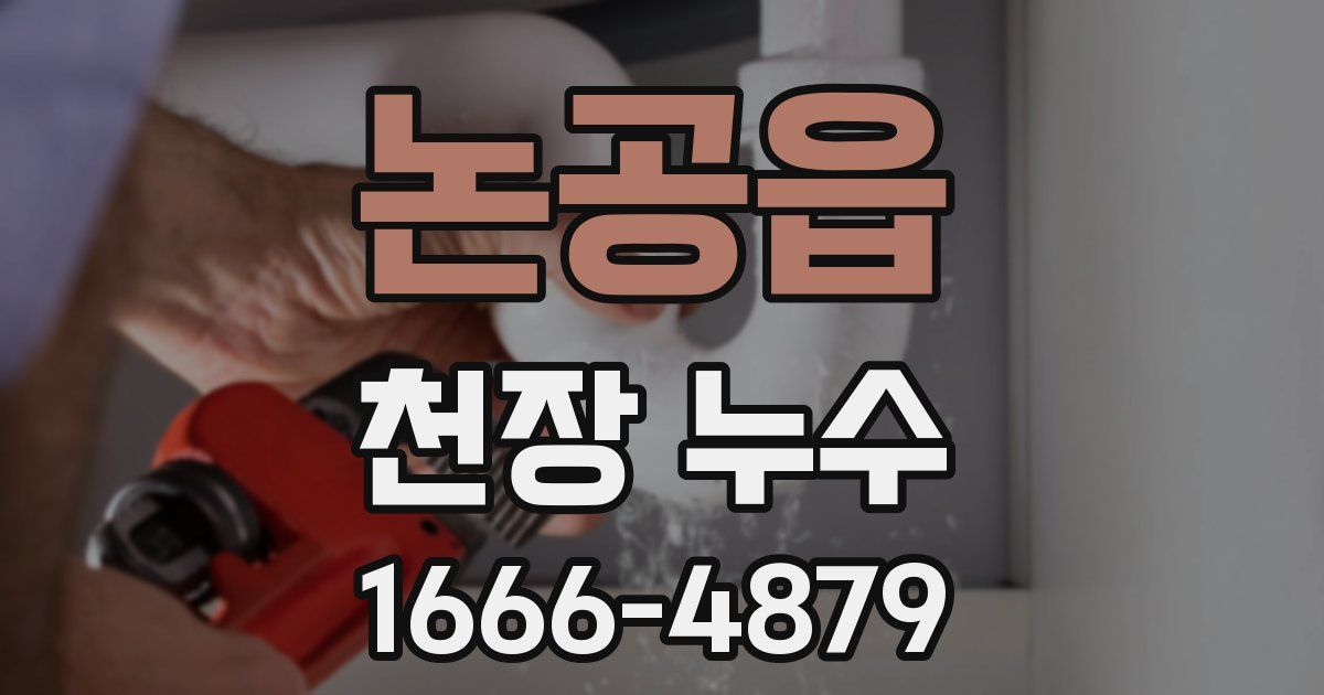 논공읍 천장 누수
