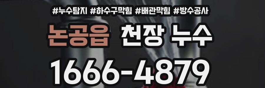 논공읍 천장 누수