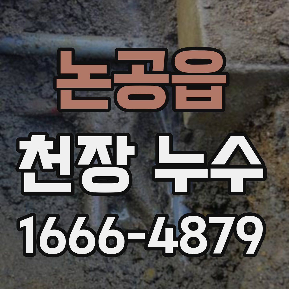 논공읍 천장 누수