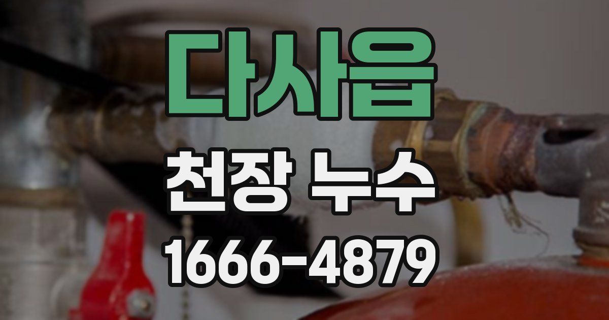 다사읍 천장 누수