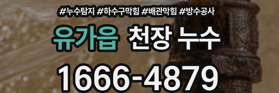 유가읍 천장 누수