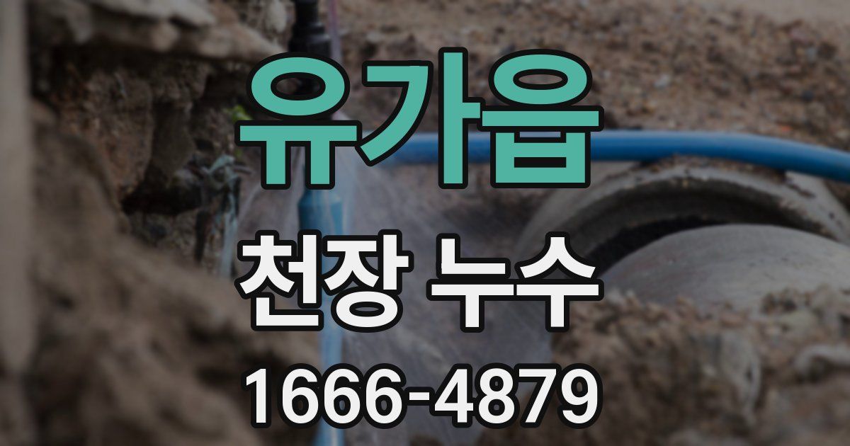 유가읍 천장 누수