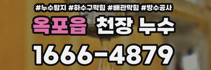 옥포읍 천장 누수