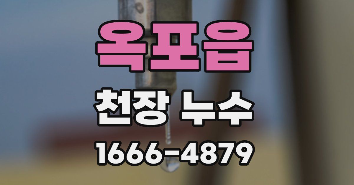 옥포읍 천장 누수