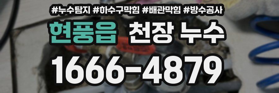 현풍읍 천장 누수
