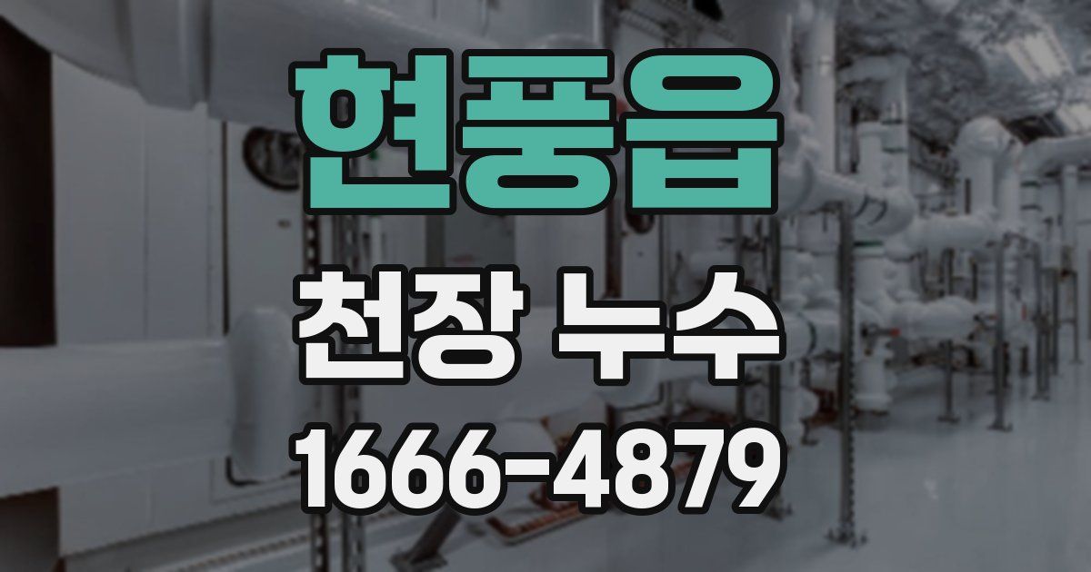 현풍읍 천장 누수