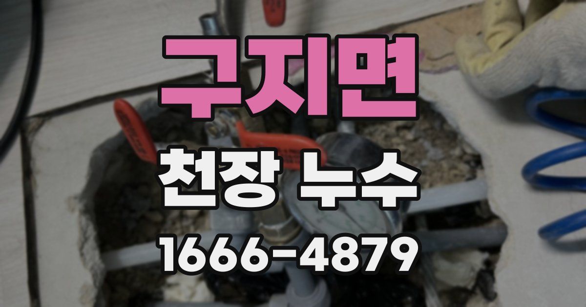 구지면 천장 누수
