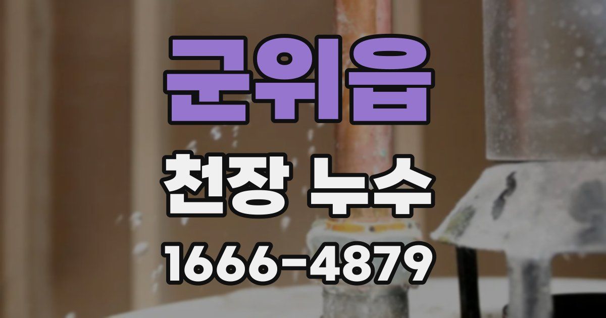 군위읍 천장 누수