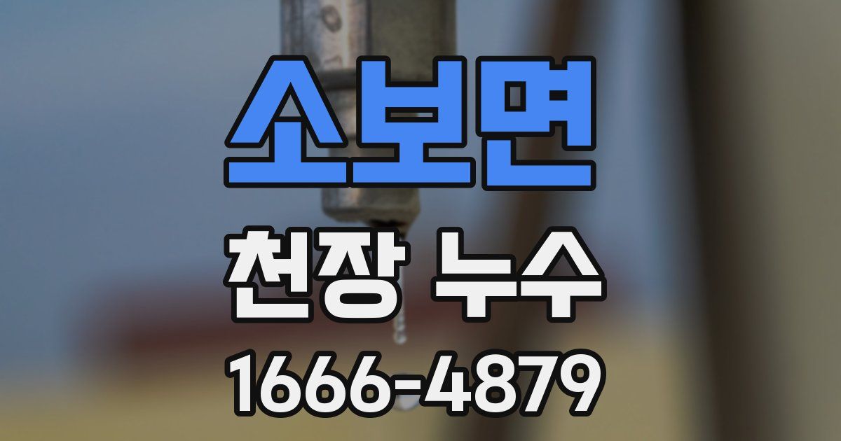소보면 천장 누수