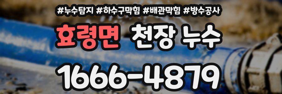 효령면 천장 누수