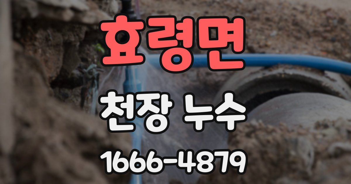 효령면 천장 누수