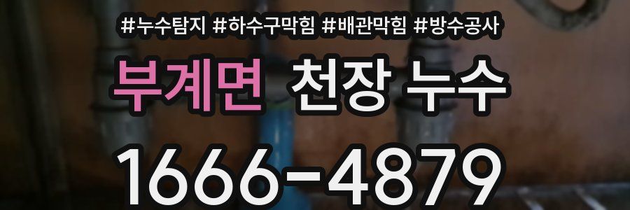 부계면 천장 누수