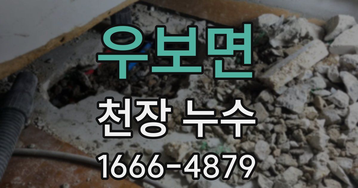 우보면 천장 누수