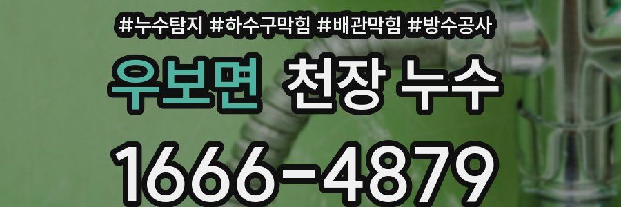 우보면 천장 누수
