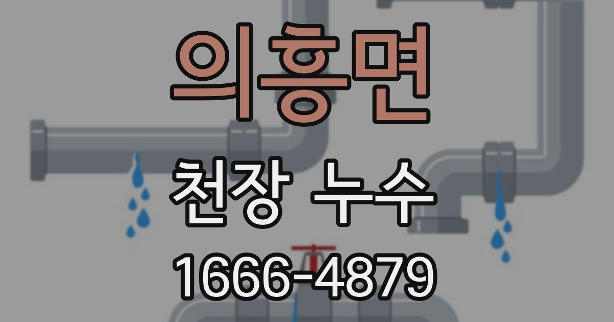 의흥면 천장 누수