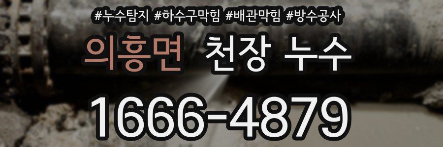의흥면 천장 누수