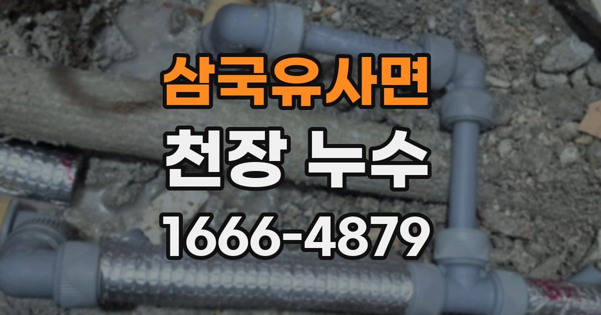 삼국유사면 천장 누수