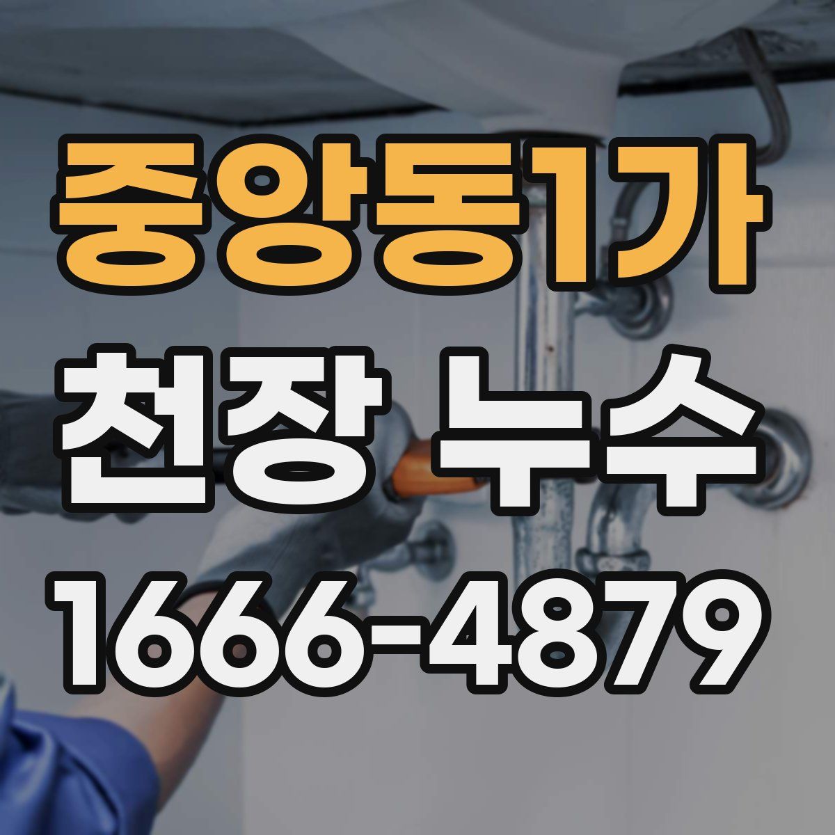 중앙동1가 천장 누수