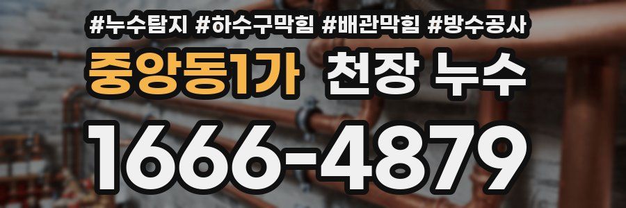 중앙동1가 천장 누수